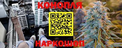 прущие крисы Лесосибирск