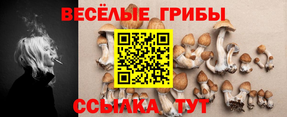 Будённовск  Псилоцибиновые грибы прущие грибы  Вход с VPN 
